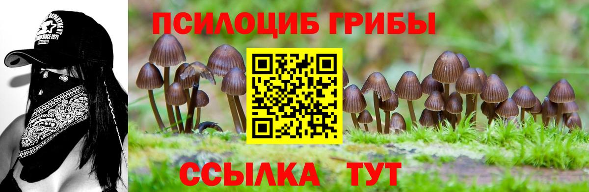 Галлюциногенные грибы GOLDEN TEACHER Гай